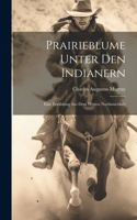 Prairieblume Unter Den Indianern