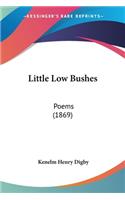 Little Low Bushes
