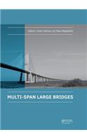 Multi-Span Large Bridges