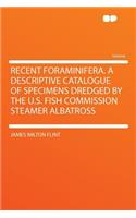Recent Foraminifera. a Descriptive Catalogue of Specimens Dredged by the U.S. Fish Commission Steamer Albatross