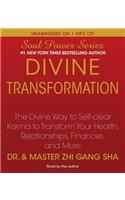 Divine Transformation: The Divine Way to Self-Clear Karma to Transform Your Health, Relationships, Finances, and More(Soul Power)