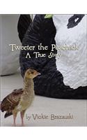 Tweeter the Peachick a True Story