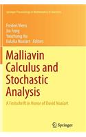 Malliavin Calculus and Stochastic Analysis