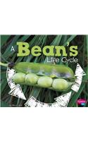 Bean's Life Cycle