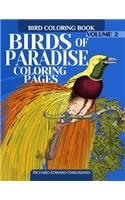 Birds of Paradise Coloring Pages - Bird Coloring Book