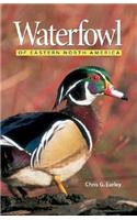 Waterfowl of Eastern North America