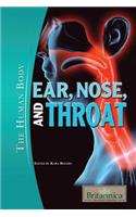 Ear, Nose, and Throat