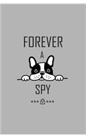 Forever A Spy