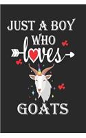Just a Boy Who Loves Goats