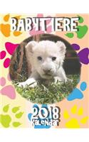 Babytiere 2018 Kalendar (Ausgabe Deutschland)