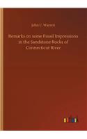 Remarks on some Fossil Impressions in the Sandstone Rocks of Connecticut River