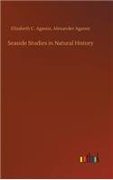 Seaside Studies in Natural History