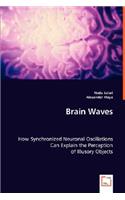 Brain Waves