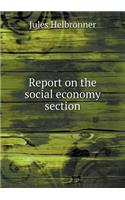 Report on the social economy section