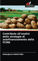 Contributo all'analisi delle strategie di autofinanziamento della FCMN