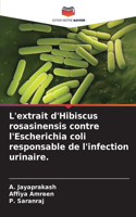 L'extrait d'Hibiscus rosasinensis contre l'Escherichia coli responsable de l'infection urinaire.