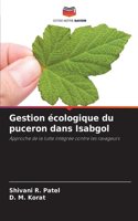 Gestion écologique du puceron dans Isabgol