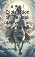 Brief Explanation of The Book of Revelation from TikTok Posts