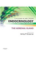 Endocrinology Adult and Pediatric: The Adrenal Gland E-Book