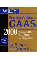 Wiley Practitioner's Guide to GAAS