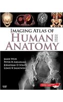 Imaging Atlas of Human Anatomy