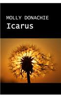 Icarus