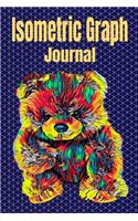 Isometric Graph Journal