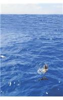 Journal Kauai Dolphins 150 Lined Sheets Blue
