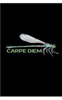 Carpe Diem: Motivational Notebook/Journal with Green Dragonfly (6x9)