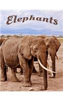 Elephants