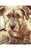 Notebook/Journal - Glen of Imaal Terrier: Journal Ruled - 150 Blank Pages - 8x10 Inches
