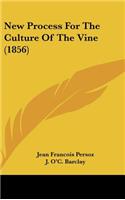 New Process for the Culture of the Vine (1856)