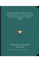 Cytoplasmic And Nuclear Fusions In The Promycelial Cells Of Certain Smuts (1907)