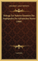 Beitrage Zur Naheren Kenntniss Der Amphipoden Des Adriatischen Meeres (1866)
