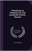 Wanderings in Patagonia: Or, Life Among the Ostrich-Hunters: Wanderer's Library