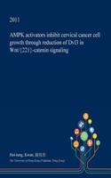 Ampk Activators Inhibit Cervical Cancer Cell Growth Through Reduction of Dvl3 in Wnt/{221}-Catenin Signaling