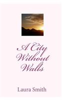 A City Without Walls: (English)