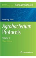Agrobacterium Protocols: Volume 2(1224 Methods in Molecular Biology)