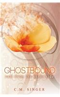 Ghostbound 2: Call from the Other Side