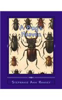 "A Bug's Heaven": (English)