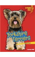 Yorkshire Terriers: (Lightning Bolt Books — Who's a Good Dog?)