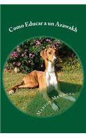 Como Educar a un Azawakh