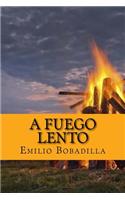 fuego lento (Spanish Edition)