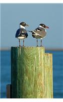 Two Smirking Seagulls on the Pier Sea Birds Journal: 150 Page Lined Notebook/Diary