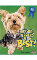 Yorkshire Terriers Are the Best!