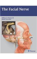 The Facial Nerve