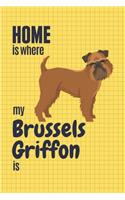 Home is where my Brussels Griffon is: For Brussels Griffon Dog Fans