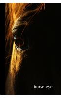 Horse Eye