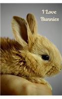 I Love Bunnies