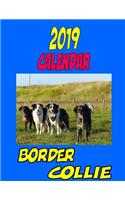 2019 Calendar Border Collie: Calendar, personal contacts, password log, notes, to do list and more.
